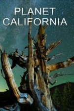 Cover Planet California, Poster Planet California