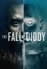 Cover The Fall of Diddy, Poster, Stream