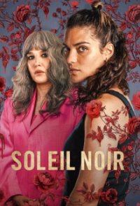 Poster, Unter der schwarzen Sonne Serien Cover